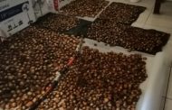 Suspect arrested for over R2.7 million worth of abalone