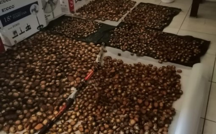 Suspect arrested for over R2.7 million worth of abalone