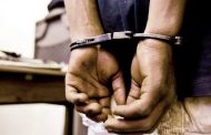 Three suspects arrested for Stock Theft in the Free State
