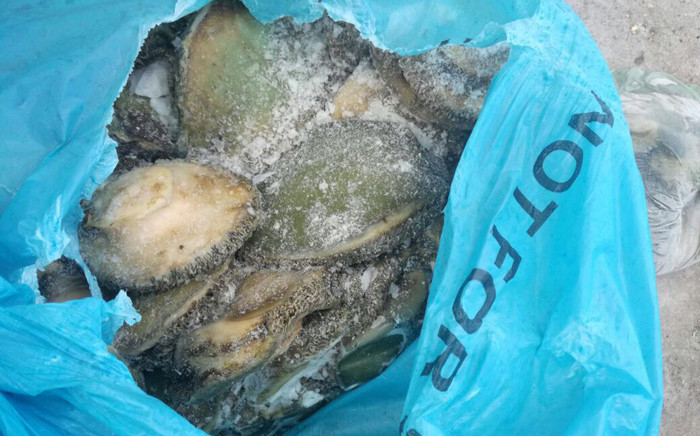 Hawks investigation secure conviction against three abalone poachers