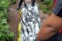 Woman Attempts Suicide After Pregnancy Dispute: Redcliffe - KZN