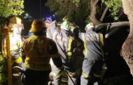 Fatal crash into tree next to the M5