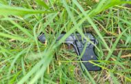 Reaction Officer Shoots Armed Suspect: Phoenix - KZN