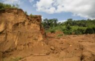 Eleven illegal miners arrested at Northam