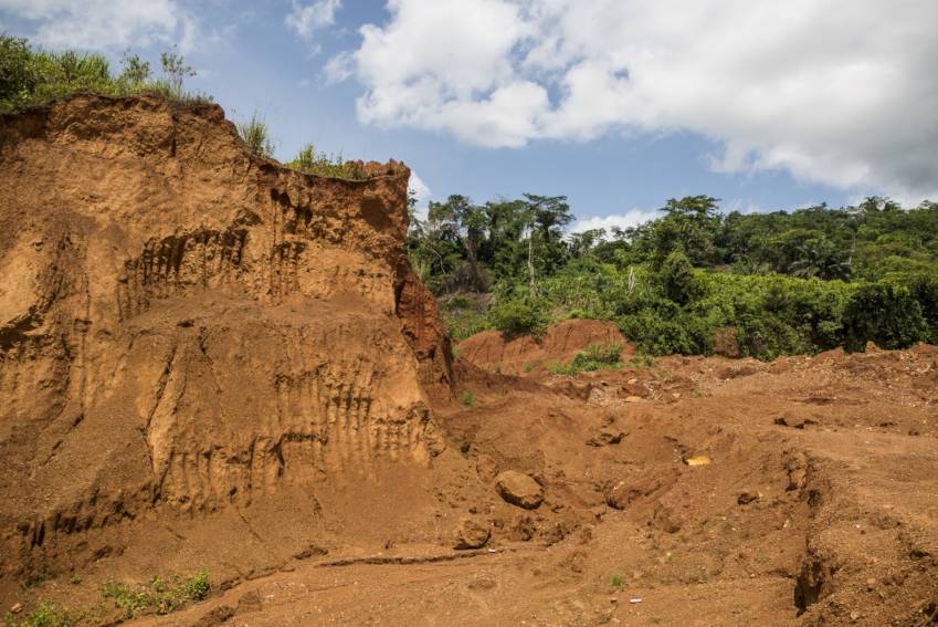 Eleven illegal miners arrested at Northam