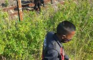 Body Of Unidentified Male Discovered: Inyaninga - KZN