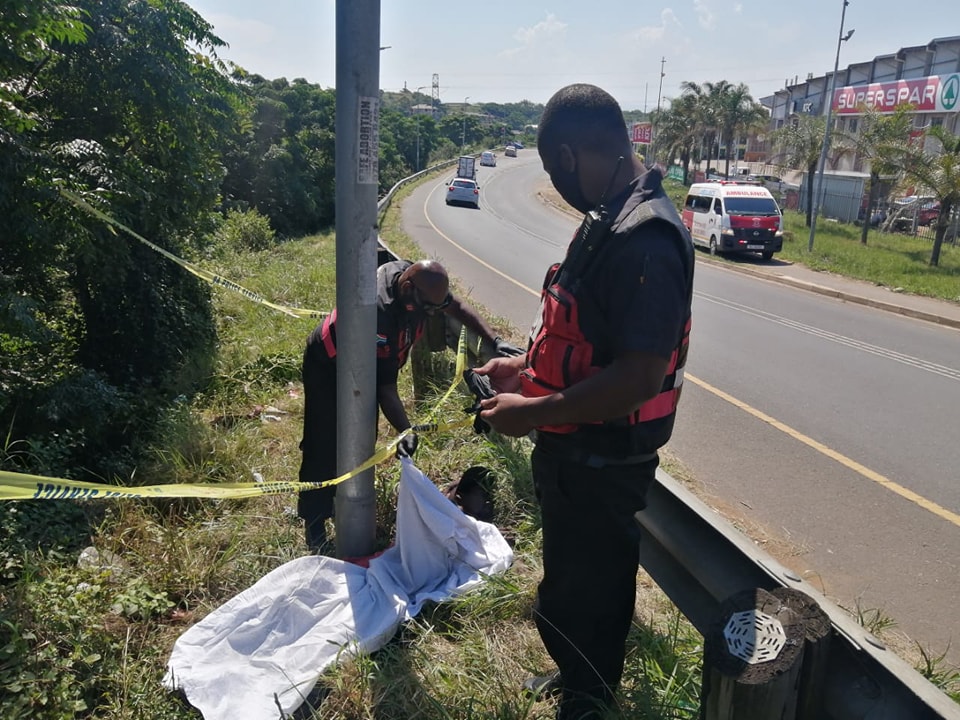 Body discovered on the roadside on the M27 in  Waterloo