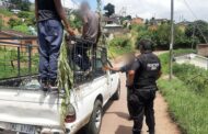 Mielies hawker robbed in Mawotana