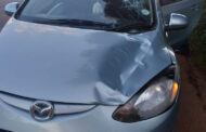 11-Year-old boy is in critical condition after being knocked down by a vehicle on the R36