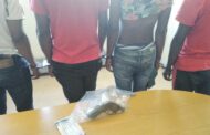 Four suspects nabbed for possession of illegal firearm and illegal immigration