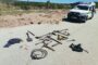 Assist saps Thohoyandou to find a missing man