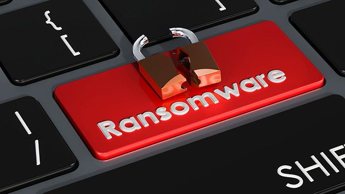 SLVA and BullWall partner to offer leading ransomware solution as attacks in South Africa skyrocket