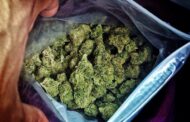 Street hawker detained for dealing in dagga