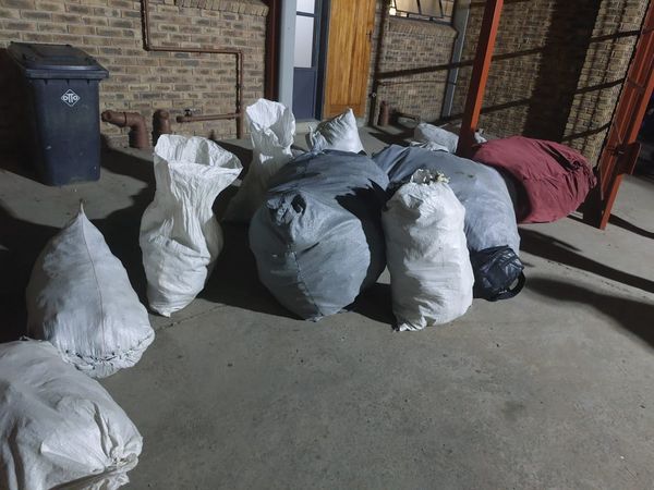 Upington man arrested for illegal possession of protected plants