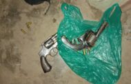 Six firearms seized during Plessislaer operation