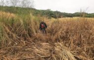 Human skeletal remains discovered in Blackburn