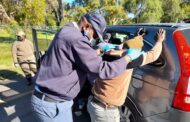 Several suspects arrested during operation O Kae Molao