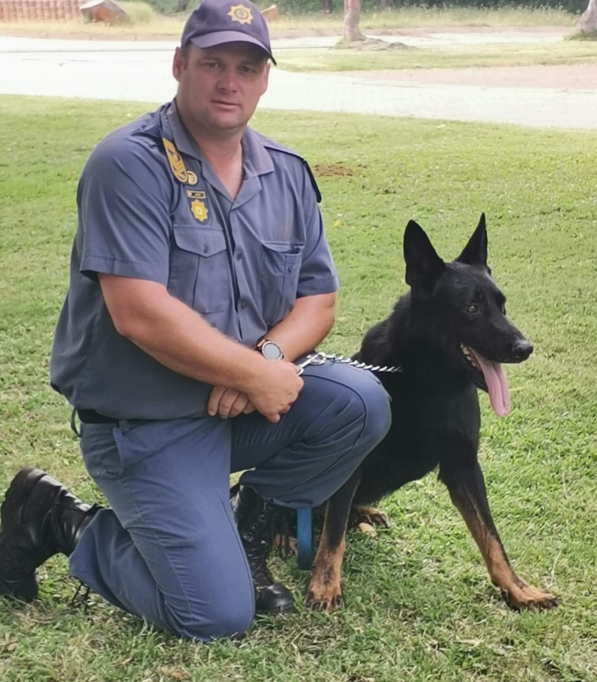 Uitenhage K9 Razor apprehends burglary suspect