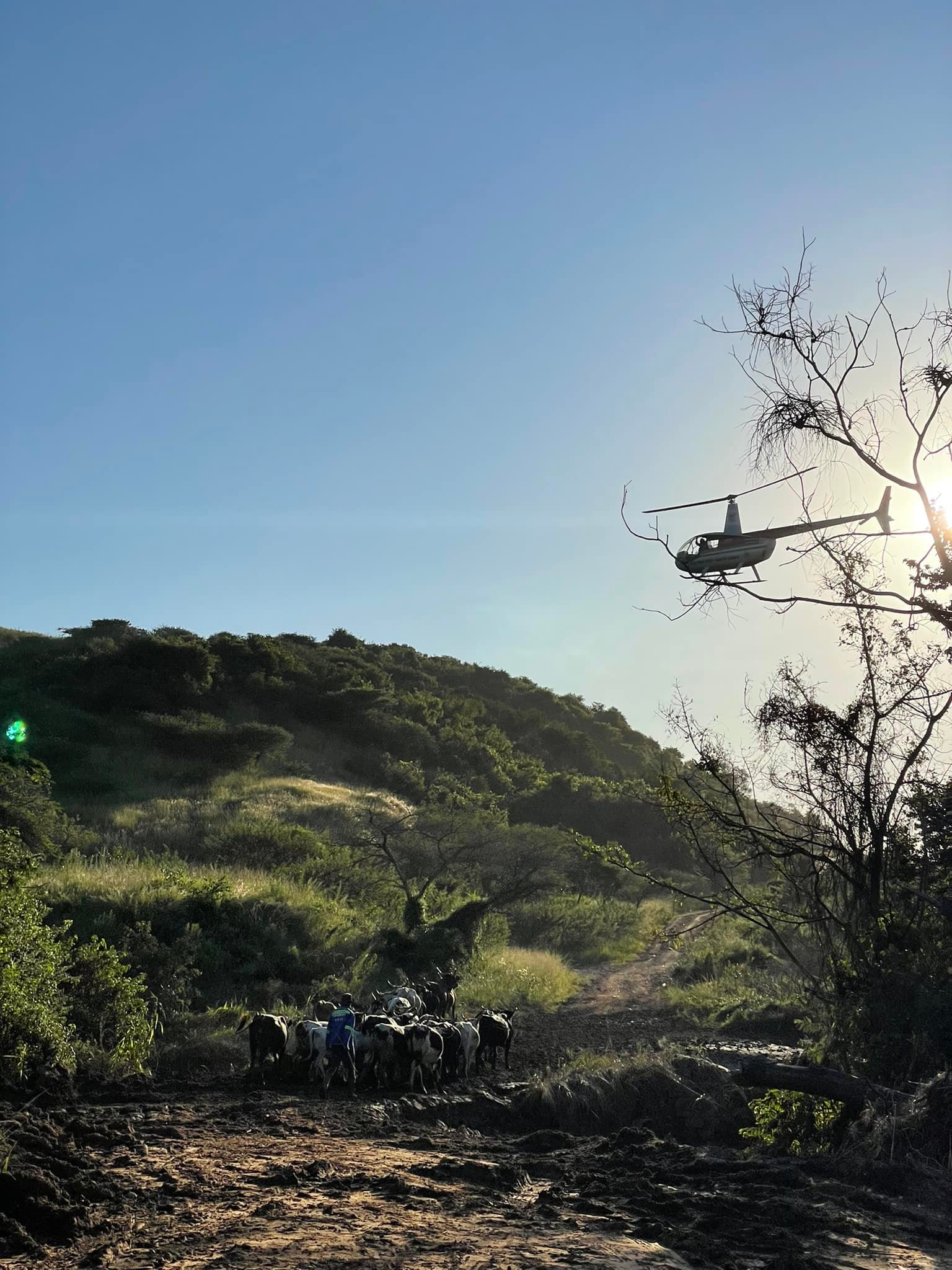 Herdsman spot decomposing body in Oakford