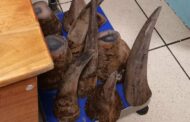 26Kg of rhino horns seized at OR Tambo International Airport