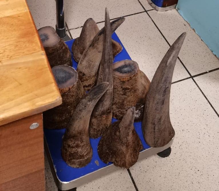 26Kg of rhino horns seized at OR Tambo International Airport