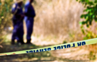 Police appeals for information after human remains are found