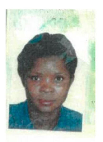 Search for a missing person in Boitekong