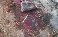Man bludgeoned to death in Canelands