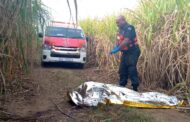 Unidentified Man Executed In Cane Field: Inanda - KZN