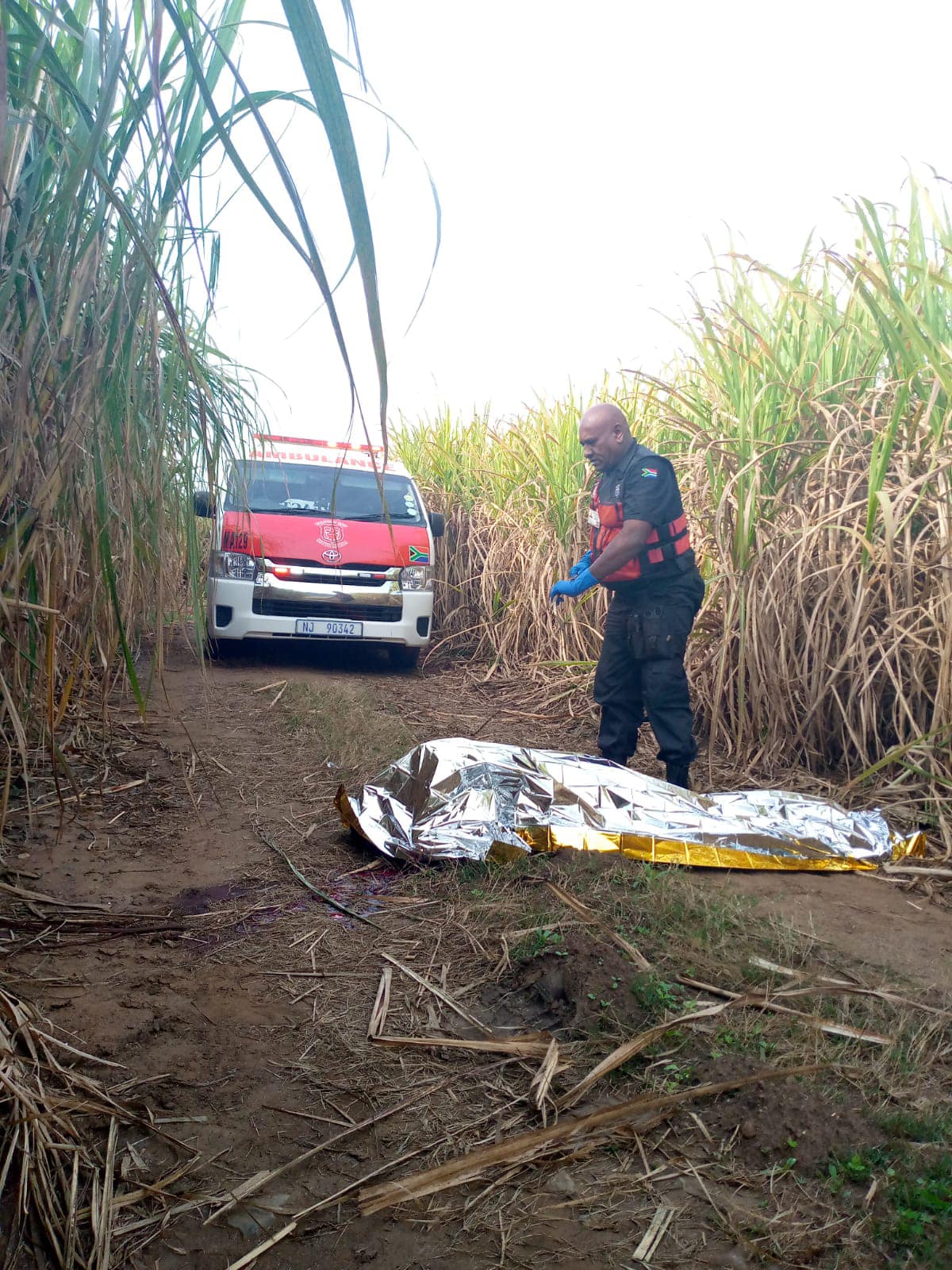 Unidentified Man Executed In Cane Field: Inanda - KZN