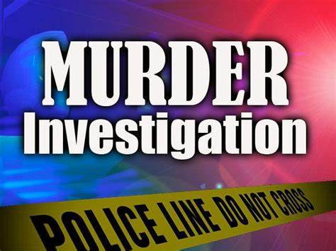 SAPS Algoa Park detectives are on the hunt for a suspect involved in the fatal killing of three males and injuring another two in Misssionvale