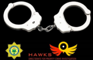 Bogus investment schemer arrested