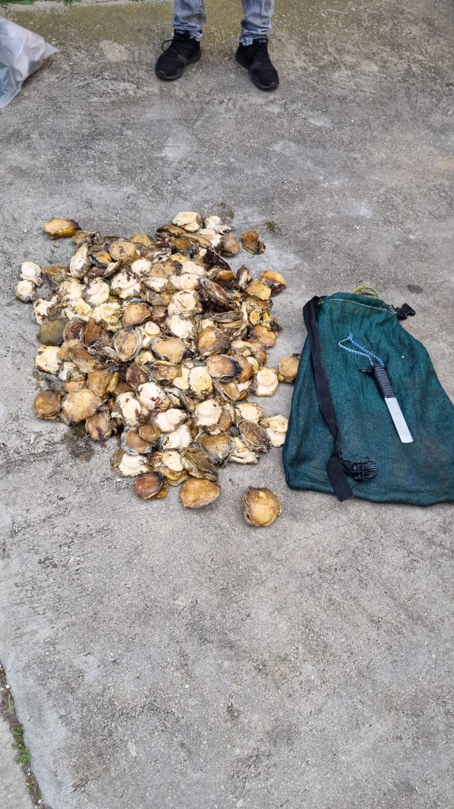 Gqeberha K9 and Flying Squad tighten their grip on criminals