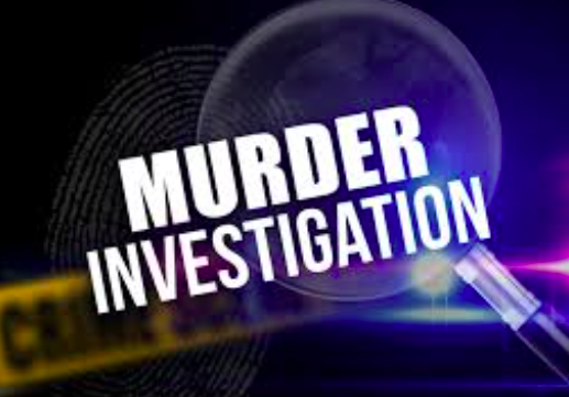 Police investigate double murder