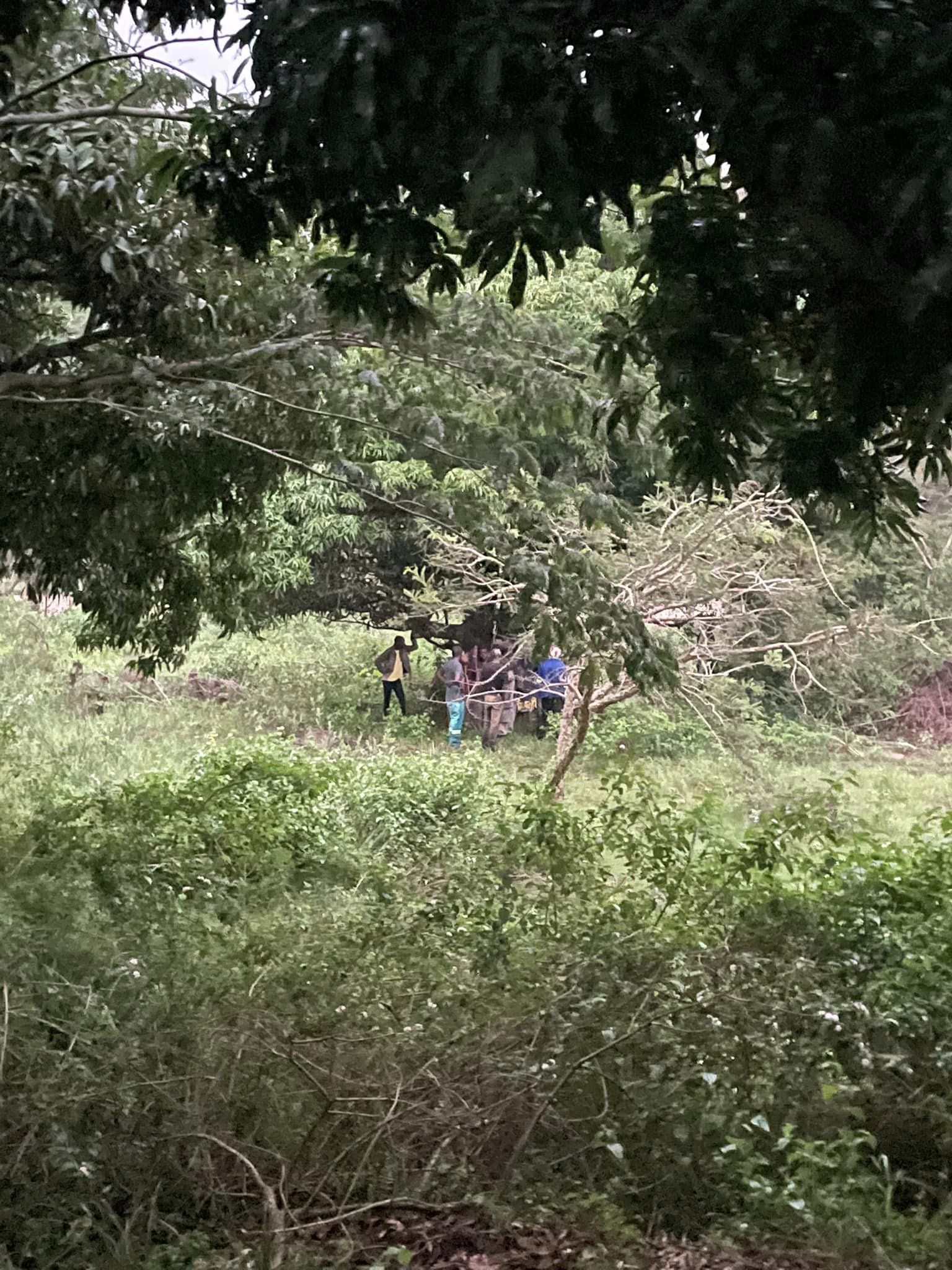 Missing Man Discovered Hanging From Tree: Oakford - KZN