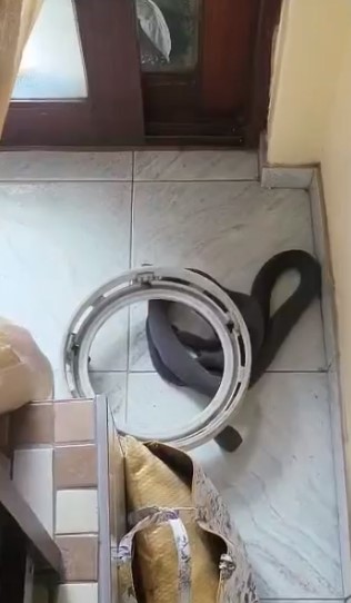 2.2 Metre Black Mamba Captured In Home: Brindhaven - KZN