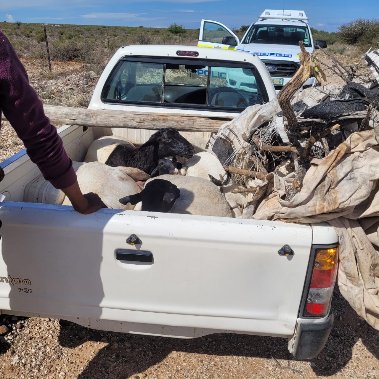Suspect arrested for stock theft on the R357
