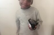 Police in Kariega seek mother of abandoned child from Gqeberha