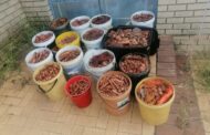 Paarl East police cease copper worth R400 000