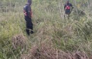 Human skeletal remains recovered in Everest Heights