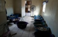 Foul smell leads police to abalone bust in Korsten