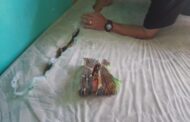 Suspects in custody for dealing in drugs