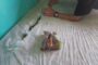 Child Re-United With Family: Parkgate - KZN