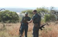 Field ranger and his accomplices arrested at Kruger National Park during intelligence driven operation, rifle recovered