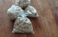 Grabouw Police arrest suspects with mandrax tablets