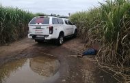Victim presumed deceased dumped in a cane field in Canelands