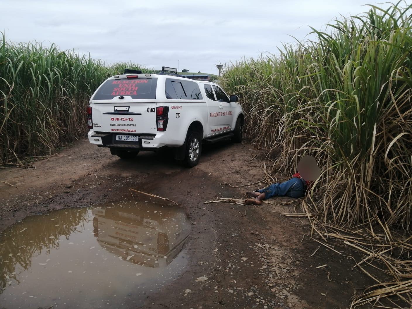 Victim presumed deceased dumped in a cane field in Canelands