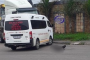 Eight appear for contravention of the Immigration Act