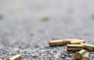 Teenager fatally wounded by stray bullet