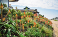 Renishaw Hills on the KZN South Coast is set to host the BotSoc Winter Gardens this July